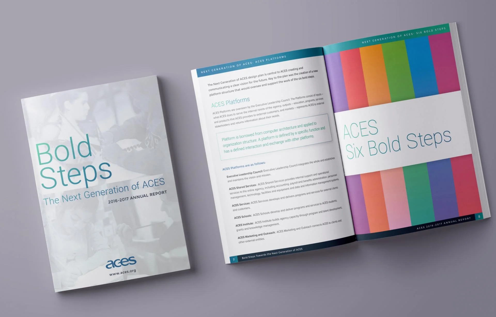 Aces Annual Report.webp