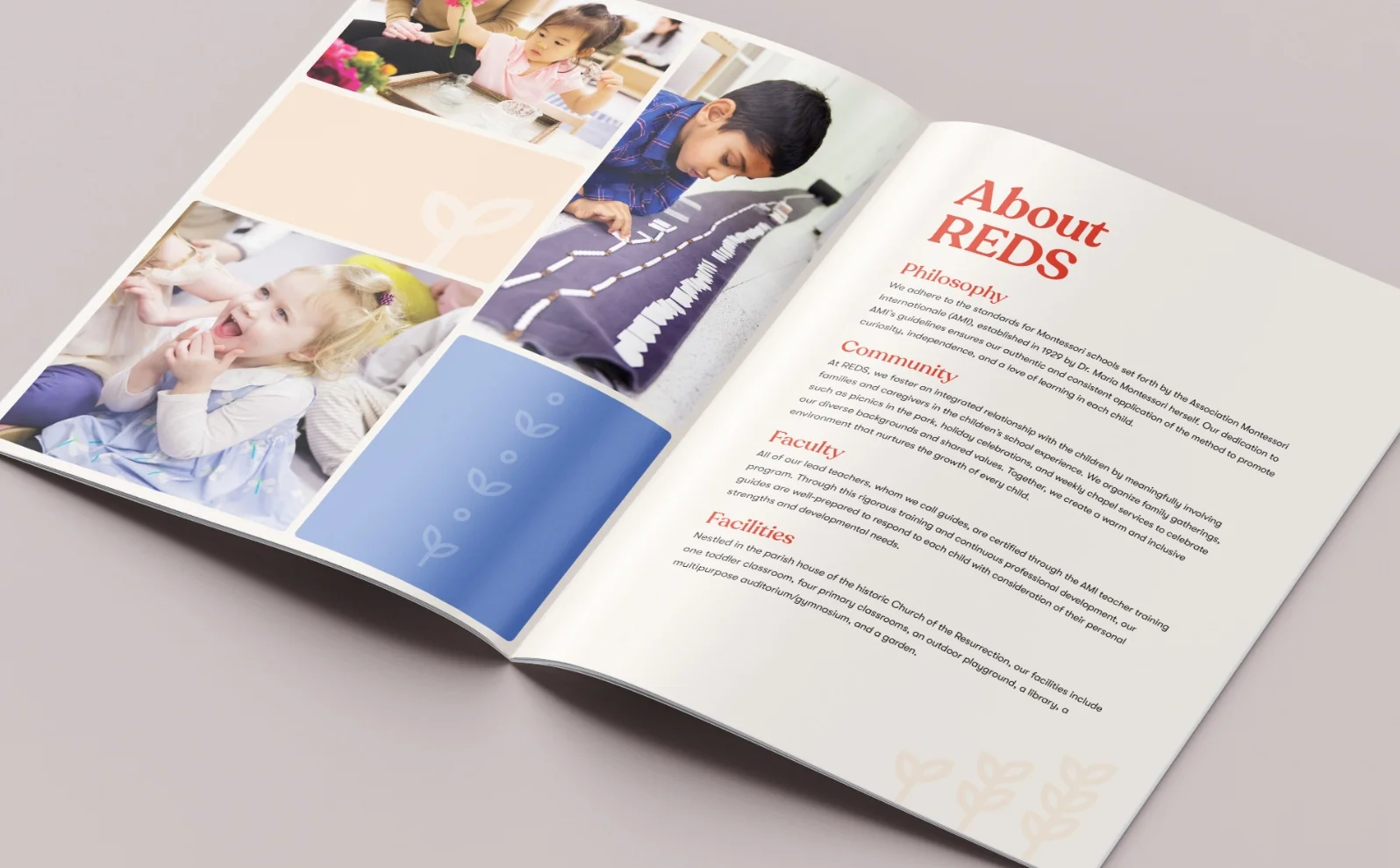 Reds Brochure.webp