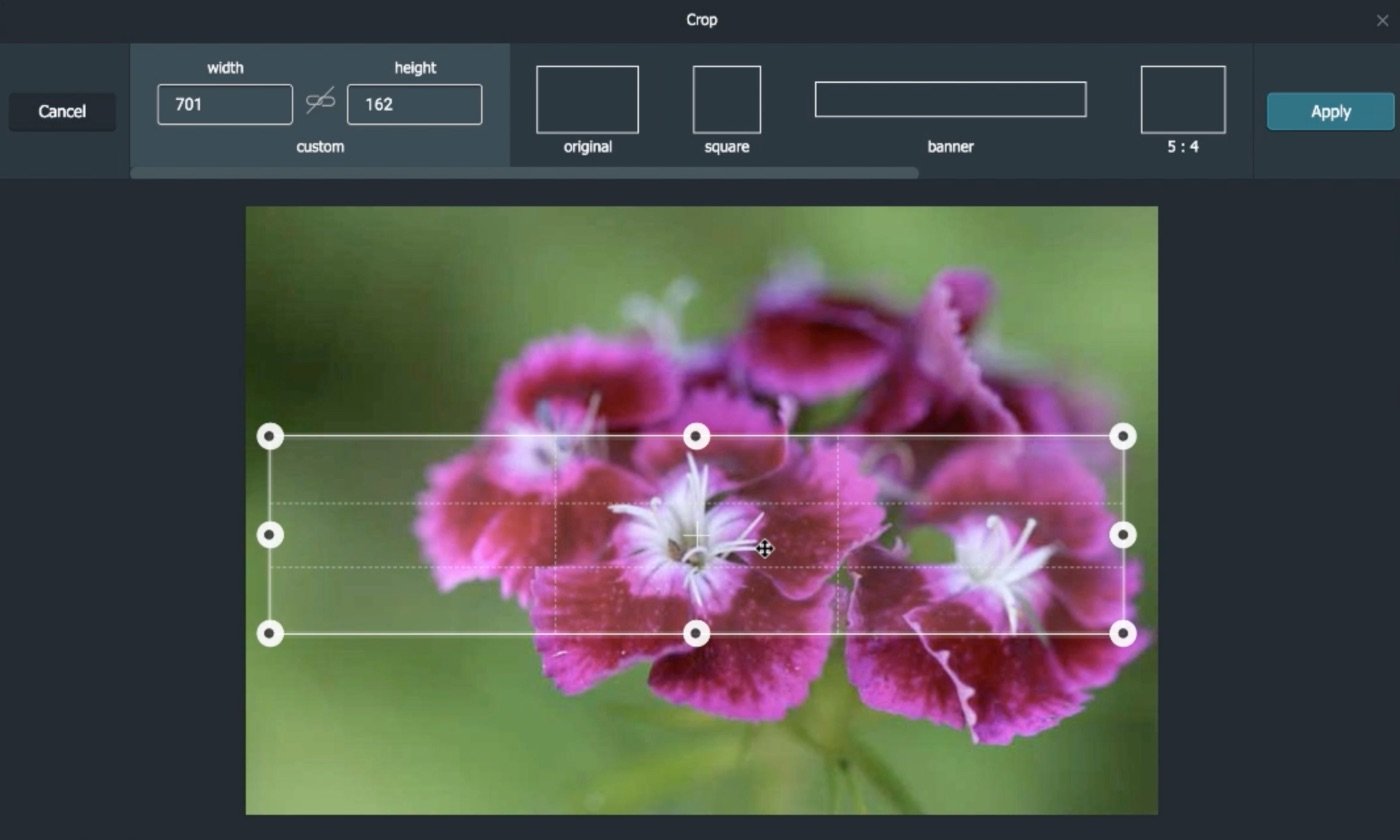 SoSimple Announces New Photo Editor Tool (Video)